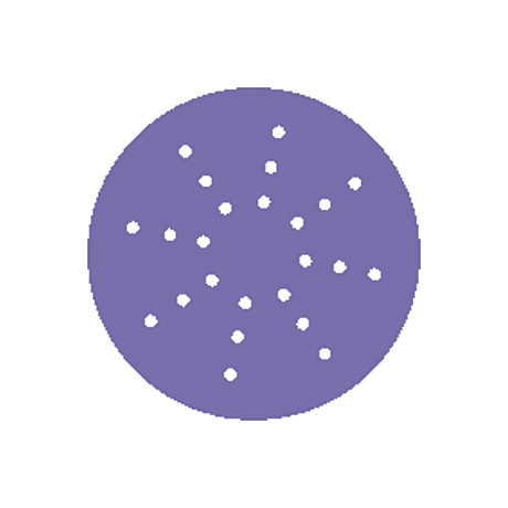 Диск шлифовальный на пленочной основе Sandwox 328 Purple Zirconia 24 отв. (225мм, Р320, 50шт./уп)